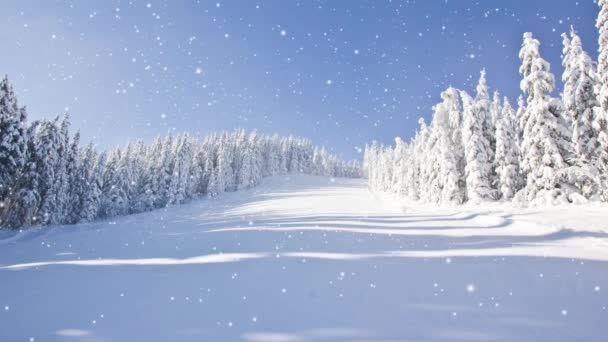 Vinterskog Med Blå Himmel Täckt Med Snö Fallande Snöeffekt Vinter — Stockvideo