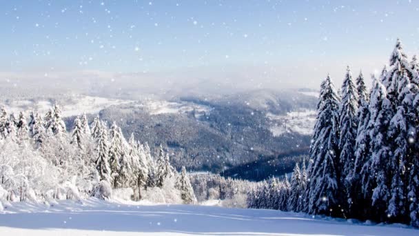 雪に覆われた青空の冬の森 降雪効果について 冬と季節のコンセプト 高品質の4Kビデオ — ストック動画