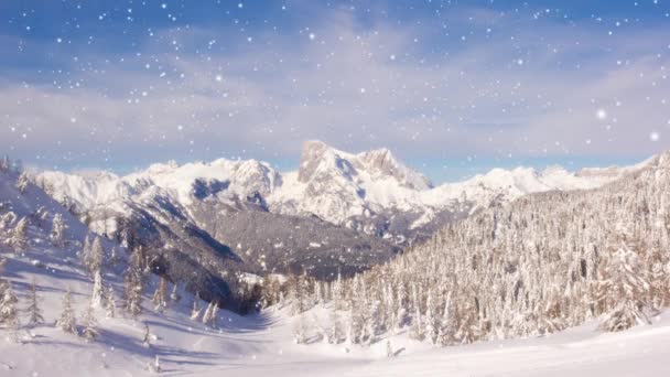 雪は輝く太陽とスプルースの木で山々を覆いました 降雪効果について 冬と季節のコンセプト 高品質の4Kビデオ — ストック動画