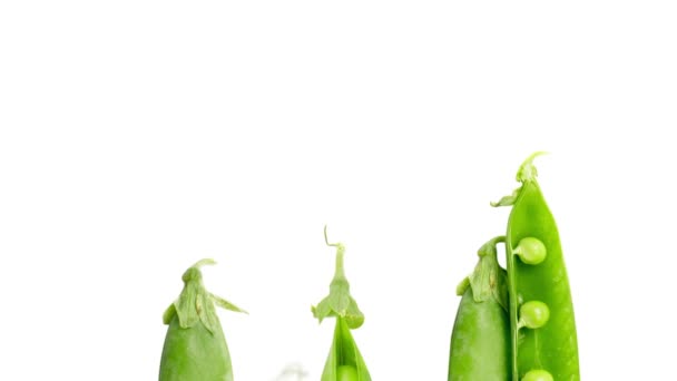 Pea Vegetable Pieces Slices Leaves Being Moved Upwards Isolated White — Stock Video