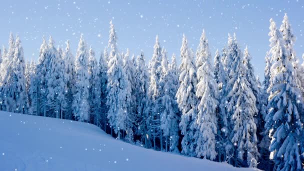Bosque Invierno Con Cielo Azul Cubierto Nieve Caída Del Efecto — Vídeos de Stock