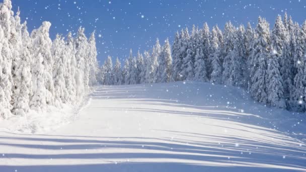 Vinterskog Med Blå Himmel Täckt Med Snö Fallande Snöeffekt Vinter — Stockvideo