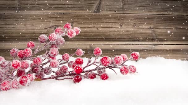 静谧的生活 雪地上覆盖着红色的易碎枝条 背景上的木制桌子 降雪的效果 圣诞节 假日和冬季的概念 优质4K视频 — 图库视频影像