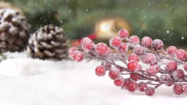 雪に覆われた表面に赤いバブルの枝を持つまだ生命 パインコーン バックグラウンドの枝をスプルーします 降雪効果について クリスマス 冬のコンセプト 高品質の4Kビデオ — ストック動画