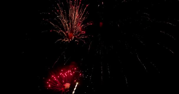 Fireworks Sky Many Different Shapes Sizes Colours — Video