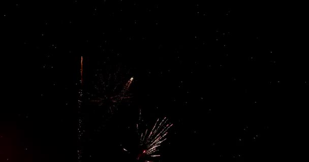 Fireworks Sky Many Different Shapes Sizes Colours — Vídeos de Stock