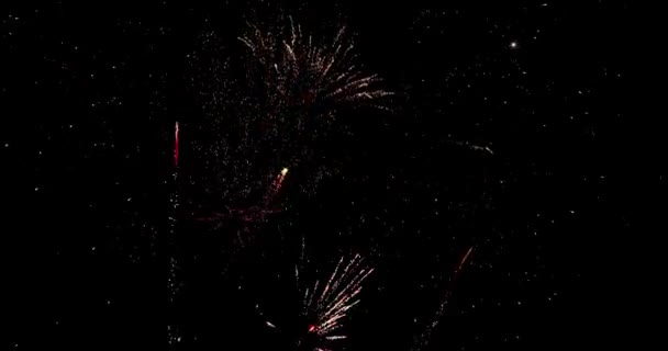 Feuerwerk Himmel Viele Verschiedene Formen Größen Und Farben — Stockvideo