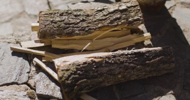 Stos Drewna Liściastego Kamiennej Powierzchni — Wideo stockowe