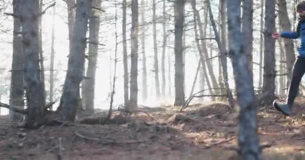 Trail Corridore Nel Bosco Correre Sentiero Forestale Saltare Uomo Vestito — Video Stock