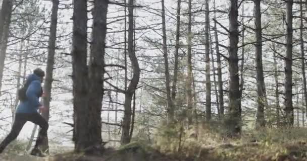 Ormanda Kış Sporu Kıyafeti Giymiş Bir Koşucu Orman Yolunda Koşan — Stok video