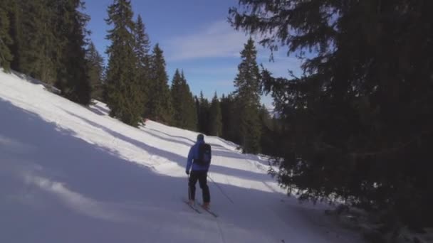 Esquiador Avançado Profissional Esquiando Pistas Nos Alpes Suíços — Vídeo de Stock