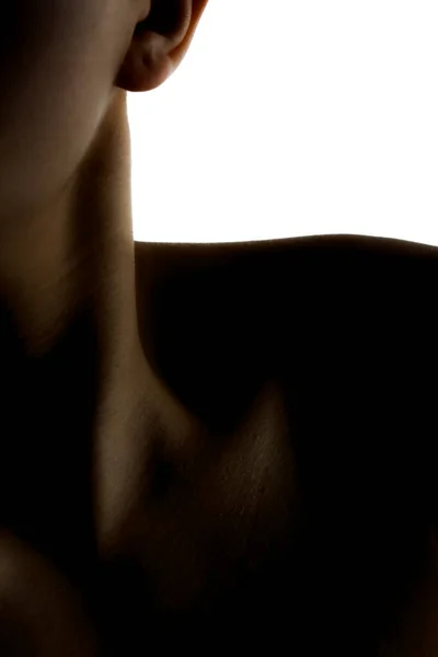 シルエットの抽象的なブドウ白を背景に美しい少女のショット 影の首と肩 — ストック写真