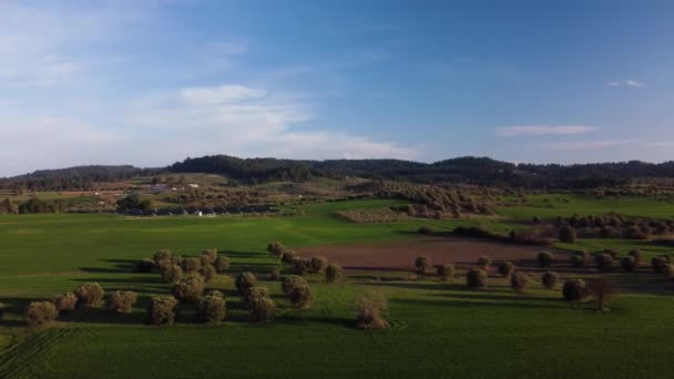 Pole Rolnicze Panelami Słonecznymi Oddali Filmik Dronami Lotniczymi — Wideo stockowe