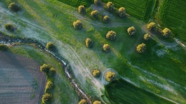Pohled Zemědělské Pole Shora Letecký Dron Video Při Západu Slunce — Stock video