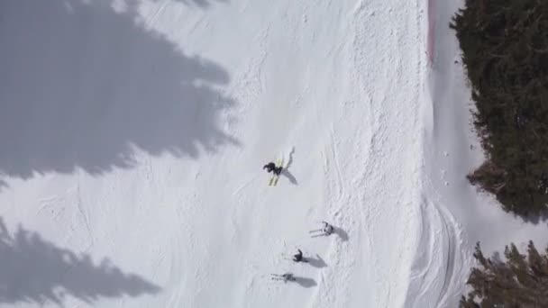 Fortgeschrittene Skifahrer Auf Einer Präparierten Piste Professionelles Schnitzen Luftbild — Stockvideo