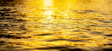 Hafif dalgalı sudan yansıyan güneş ışığının sakin bir sahnesi, altın bir parıltı yaratıyor. Sükunet, doğa ve huzuru rahatlık, meditasyon veya rahatlama gibi ortamlarda iletmek için mükemmel.