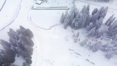 Kayakçılar ve snowboardcular sisli bir kış gününde Kopaonik 'in yamaçlarının tadını çıkarırlar. Karlı manzaralar ve kayak kaldırışları pitoresk bir kış manzarası yaratır..