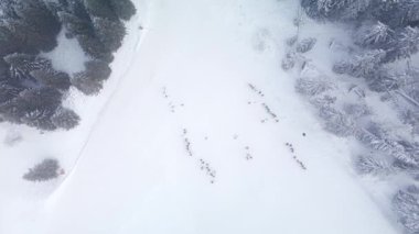 Kayakçılar bir sonraki koşularına hazırlanmak için karlı yamaçlarda toplanıyorlar..