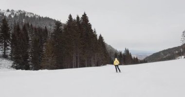 Bir kayakçı uzun ağaçlar ve engebeli dağ zirveleriyle çevrili karlı bir yamaçta zarifçe süzülür. Kış manzarası taze toz sergiliyor, heyecan verici bir deneyim yaratıyor..