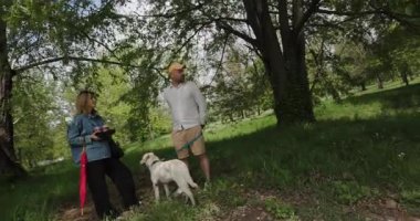 Köpekleri ile parkta rahatça yürüyüş yapan bir çift. Gölgeli bir ağacın altında durup anın tadını çıkarırlar..