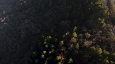 Aerial view of Vodno forest in Skopje, North Macedonia. Lush greenery, tall trees, and a serene atmosphere characterize the videos footage.