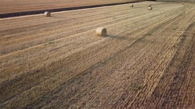 Round hay bales in a field in Greece. Aerial view of hay bales in a dry field with tire tracks from farming machinery. Agriculture in Greece.