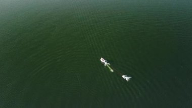 A speedboat pulls a wakeboarder across a smooth, dark green lake. The boat gains speed and leaves a white, frothy wake.