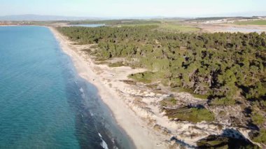 Aerial view of a beautiful sandy beach and turquoise sea next to a green forest. Perfect for travel, tourism, and nature projects.