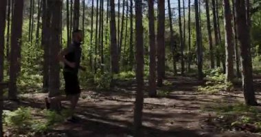 Enjoy a peaceful run in a vibrant forest setting where sunlight filters through the tall trees. A person navigates the natural path, appreciating the refreshing atmosphere.
