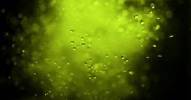 Hypnotic Slow Motion of Numerous Water Drops and Bubbles Cascading and Splashing, Forming a Dynamic and Abstract Liquid Texture Against a Soft, Out-of-Focus Background