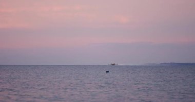 A seaplane lifts off gracefully from the water, creating ripples as the sun sets behind. The peaceful ocean reflects vibrant colors, enhancing the tranquil atmosphere.