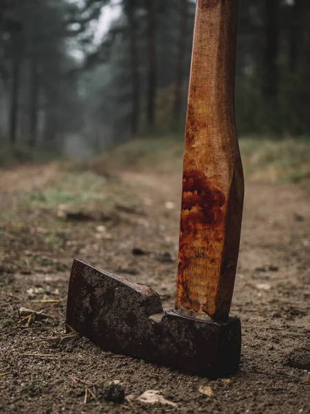 Murder Weapon Bloody Axe Mud — Stock Photo, Image