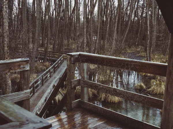 Pont Bois Dans Forêt — Photo