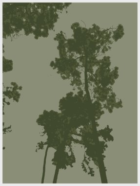 Orman vektöründeki siluetli ağaçlar