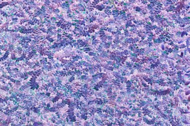 Renkli yapraklardan yapılmış arkaplan