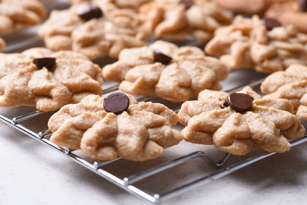 Closeup Sugar Cookies Met Een Chocolade Chip Bovenop Rustend Een — Stockfoto