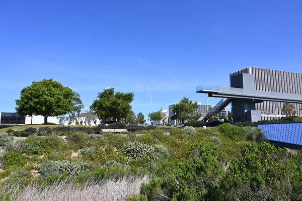 カリフォルニア州ニューポートビーチ 2023年4月22日 歩行者用橋はサンミゲルドライブを愛するアボカド アヴェ市民センター公園の2つの半分を背景にオフィスビルと接続しています — ストック写真