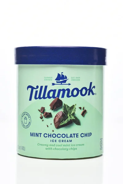 Irvine California Abr 2023 Una Caja Helado Tillamook Mint Chocolate — Foto de Stock