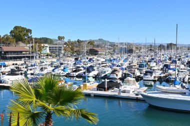 Dana Point Noktası, CALIFORNIA - 9 Şubat 2023: Dana Point liman botları eğlence araçlarıyla dolu.