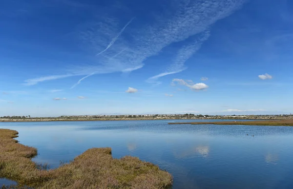 加利福尼亚州亨廷顿海滩的Bolsa Chica湿地 绿草丛生 乌云斑斑 蓝天斑斑 — 图库照片