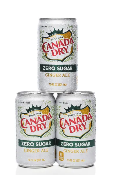 Irvine カリフォルニア Feb 2024 カナダの3つのミニ缶のスタック ドライジンジャーエール 凝縮した砂糖なし ロイヤリティフリーのストック画像