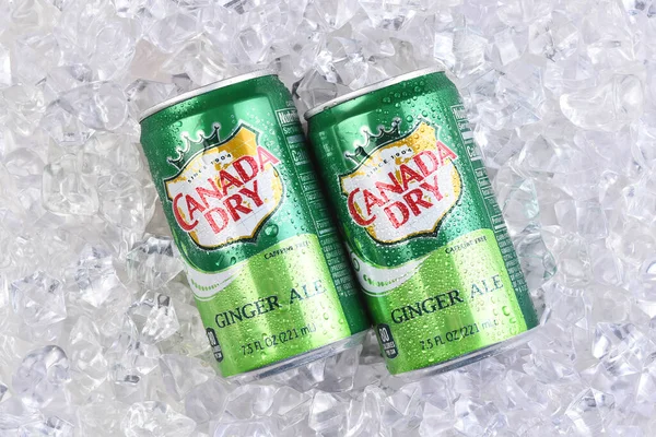 Irvine California Feb 2024 Two Cans Canada Dry Ginger Ale Royalty Free Stock Images