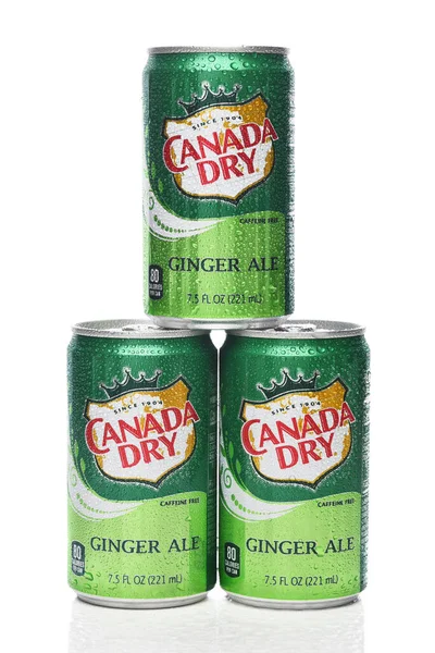 Irvine California Feb 2024 Stack Three Mini Cans Canada Dry Stock Picture