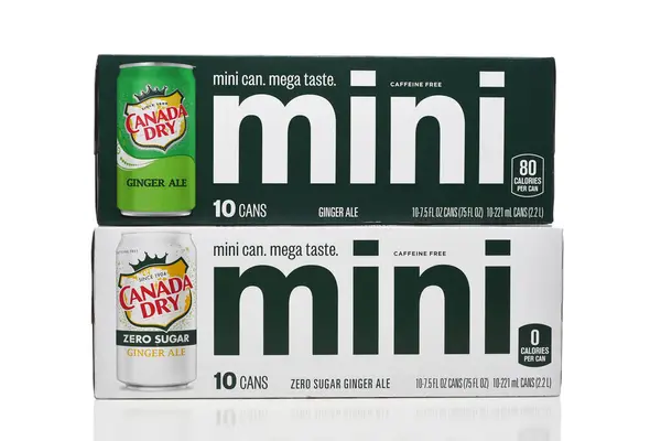 Irvine California Feb 2024 Canada Dry Ginger Ale Mini Cans 免版税图库照片