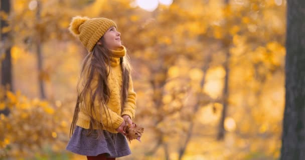 Glückliches Mädchen Das Einem Sonnigen Herbsttag Mit Farbigen Herbstblättern Wald — Stockvideo