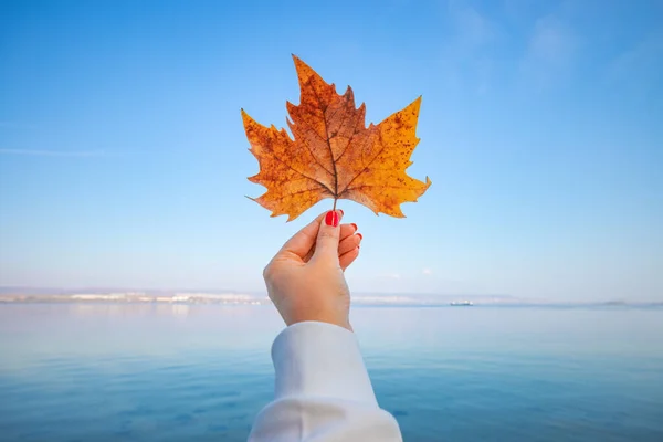 Podzimní Období Mořské Pobřeží Žena Podzimním Listem Stromu Blízkosti Pláže — Stock fotografie
