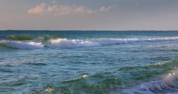 Surfing Ocean Wave Sea Waves Rolling Beach Shore Slow Motion — Vídeo de stock