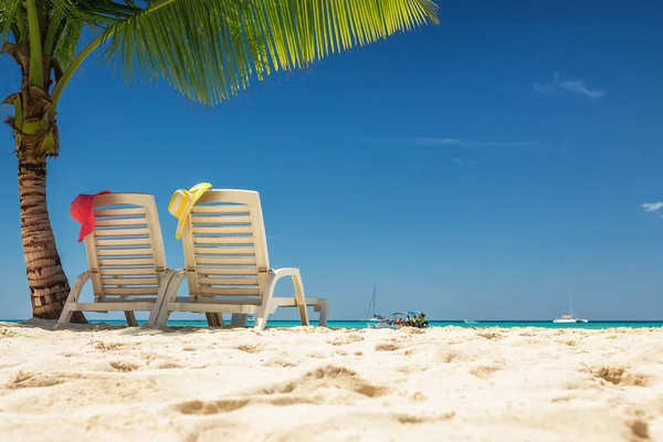 Karibischer Paradiesstrand Mit Palmen Dominicana Punta Cana Insel Saona Bestes — Stockfoto