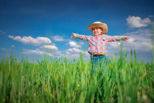 Chłopiec Farmer Słomkowym Kapeluszu Zielonym Polu Pszenicy Koncepcja Rolnictwa Rolnictwa — Zdjęcie stockowe