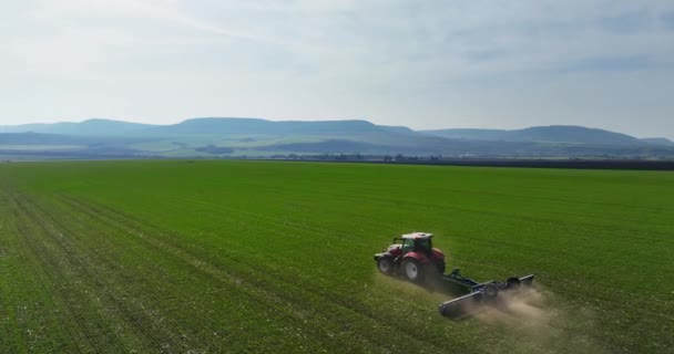 Traktor Mit Walzenbearbeitung Auf Federfeld Antennenvideo Das Walzen Des Bodens — Stockvideo